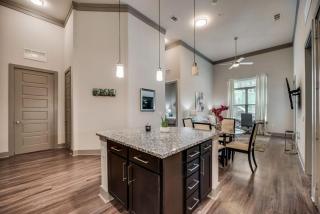 1BD Pool Kessler park Dallas DAL205 - 8