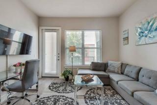 New 1BD Lux Apt Dallas Med Ctr Dallas DAL025 - 9