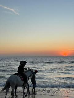 Superbe Appartement avec vue paronamique sur la plage Achakar - proche de Cap Spartel - Grottes Hercule - 2