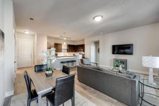 Luxury 2BD Pool Medical Dist Dallas Dallas DAL020 - 2