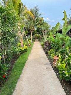 Menjangan Dive Lodge - 4