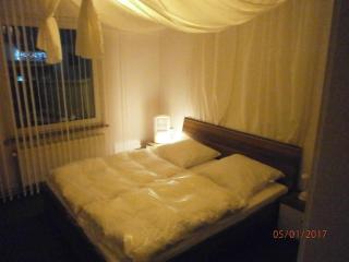 Appartement In Steina Mit Terrasse - 2