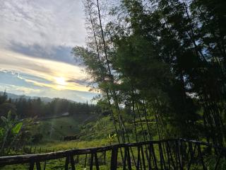 Finca La Preciosura - 4