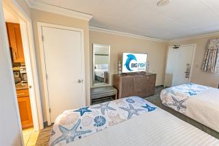 1BR New Oceanfront with Heated Pools, Coral Beach! - 4