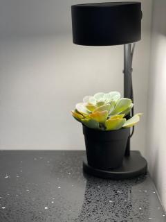 Iconic view of the Huérfanos Bridge, Santiago - 1