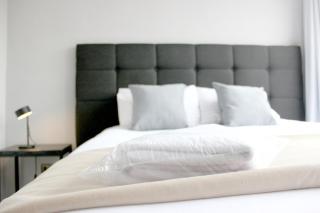 Iconic view of the Huérfanos Bridge, Santiago - 6