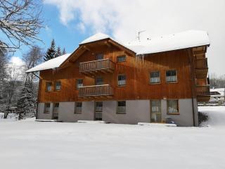 Útulný apartmán s terasou na Šumavě v malebné vesničce Prášily - 0