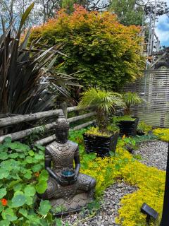 Luxury Farm Escape Tiny Home New Plymouth-Egmont Village - 5