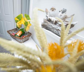 PG Stays - Spacious Rooms with Shared Facilities - 0