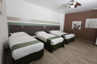 Hotel Cultura Plaza - 6