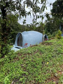 The View 360 Naturestay - 7