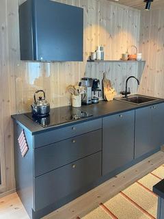 Mountain Cabinin Valdres - 2