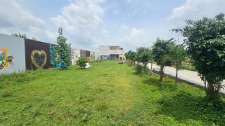 Anu Wonder Wings -  - 6