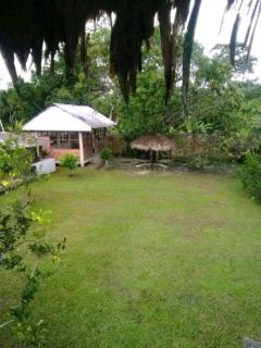 Emerald forest apartment - 7