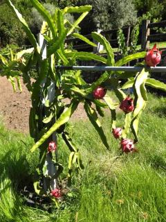 Ideal Villa in Vila Nova de Famalicão with Private Pool - 8