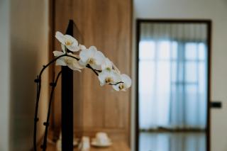 Rosepine Hotel - La Trinidad - 8