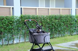 The Kite Hotel Bangsaen by Koko - 2