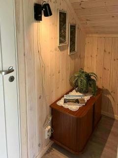 Newly Built Cabin On Andøya With Northern Lights - 1