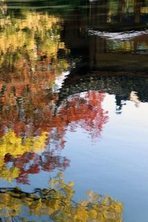 Kimpton Bamboo Grove Suzhou by IHG - 3