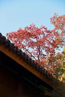 Kimpton Bamboo Grove Suzhou by IHG - 2