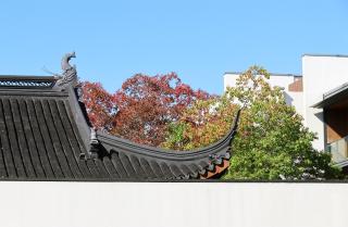 Kimpton Bamboo Grove Suzhou by IHG - 5