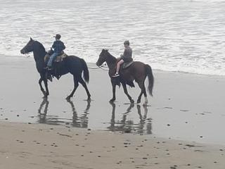 Exotic Oceanfront villa with Private Pool & jacuzzi - Parties & Events - 5