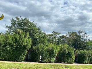 FourTwoEight Pai Resort - 8