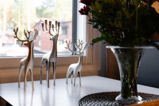 Cozy City Apartment in Rovaniemi - 1