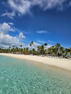 Romana Residence Vacationing Apartment - 1