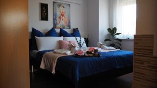 Bled Vista Apartments - 9