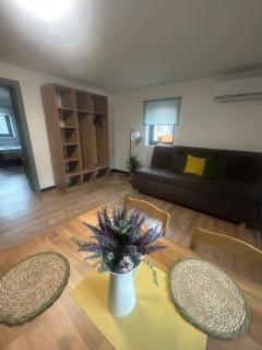 Apartman nad Metují - 1