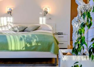 Garden Apartments Janša - 1