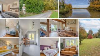 La meulière de Guerlande - Disney 20min - 9