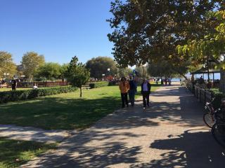 Beachside Apartment - Available per month - 4