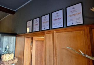 Pension Goldbachmühle - Blankenburg - 8