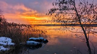 Wellnesshotel Seeschlößchen - Privat- Spa & Naturresort - 8