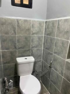 Newport Transient - 5