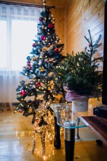 Світанок у горах - 8