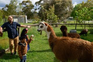 Tuscan Farmhouse - 6