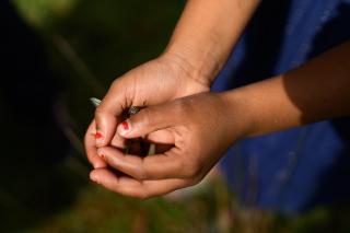 Tuscan Farmhouse - 8