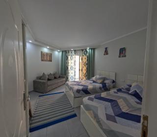 Excellent Apt 5 minutes from downtown, Beach Front Free WIFI - 0