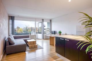 Frederiksberg stunning apartment - 4