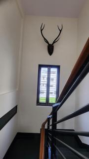 Premium AC Duplex Villa in Peaceful Green Vista - 4