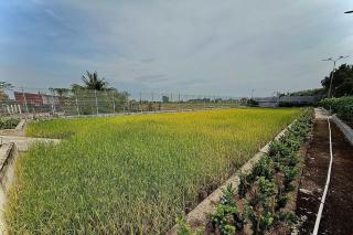 Bao Ong Thien Retreat - Khu Nghỉ Dưỡng Bào Ông Thiền - 9