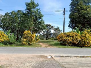 เจ๊สวนบังกะโล - 1