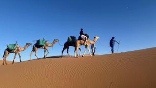 Luxury Diaries Camp - 6