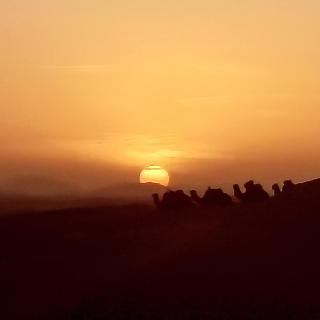 Luxury Diaries Camp - 4