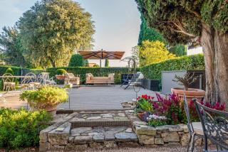 Dante's Paradise Firenze - Firenze - 9