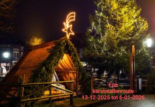 Modern chalet in de bossen van de Veluwe - 7