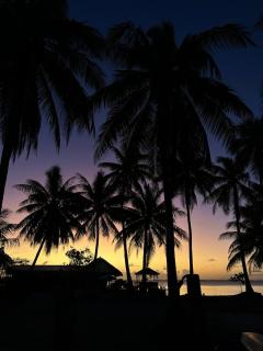 Fare RekaReka - Fakarava - 7